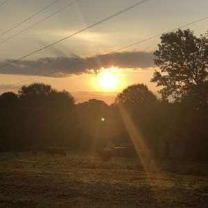 Meet your Posher, Chelsea